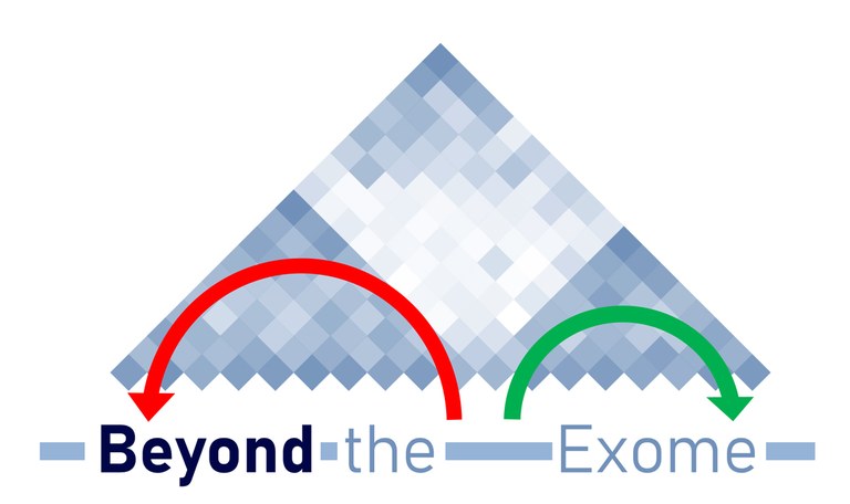 Beyond the Exome